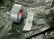 tesa® 60462 Silvertejp för allmänna ändamål - 60462-duct-silver-water-mood.jpg