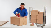 tesa® 4124 Premium Universal Packtejp - tesa-4124-premium-carton-sealing-tape-brown-201-ap.jpg