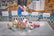 tesa® 60412 tesa® 60412 PCR PET CST - tesa-id-60416-recycled-pet-packaging-tape-all-colors.jpg